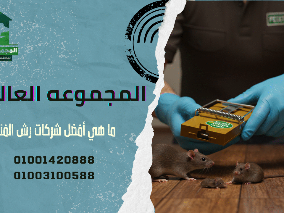 ما هي أفضل شركات رش الفئران؟