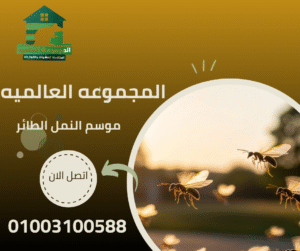 موسم النمل الطائر