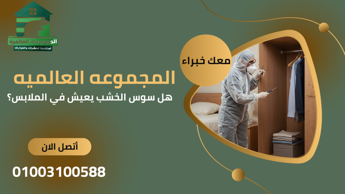 هل سوس الخشب يعيش في الملابس؟