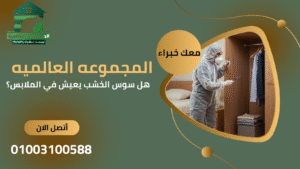 هل سوس الخشب يعيش في الملابس؟