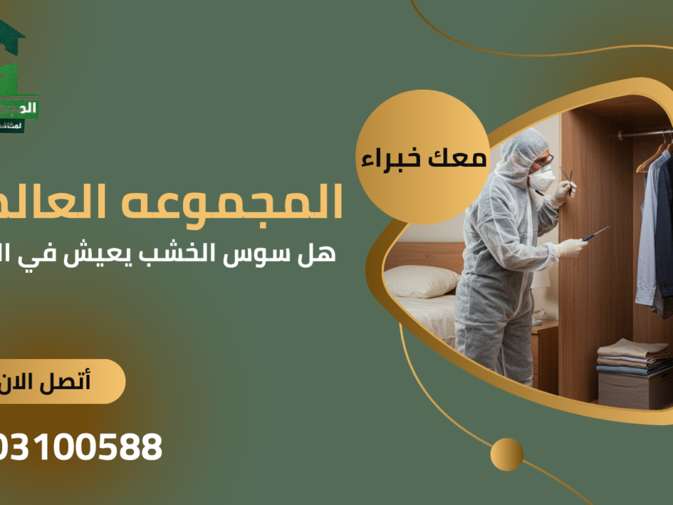 هل سوس الخشب يعيش في الملابس؟