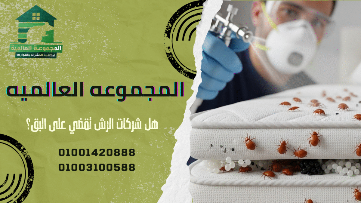 هل شركات الرش تقضي على البق؟