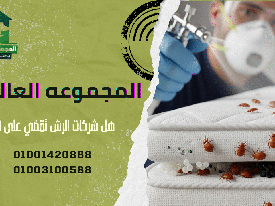 هل شركات الرش تقضي على البق؟