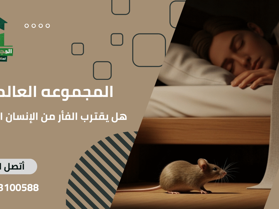 هل يقترب الفأر من الإنسان النائم؟