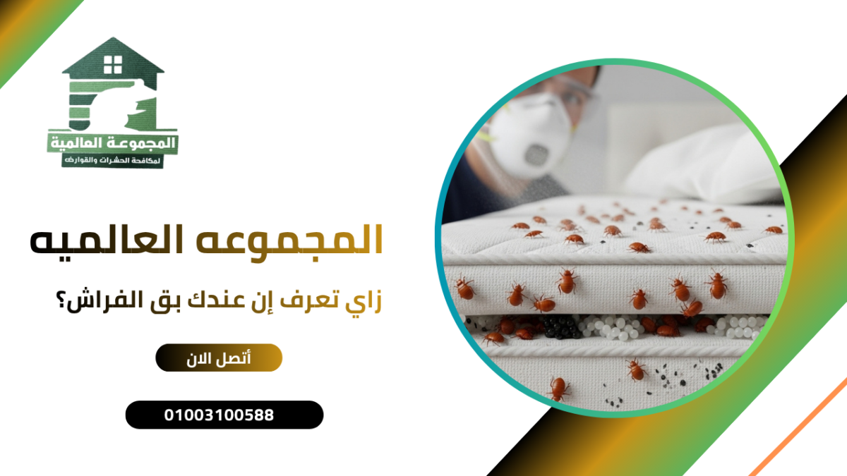 زاي تعرف إن عندك بق الفراش؟