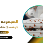 زاي تعرف إن عندك بق الفراش؟