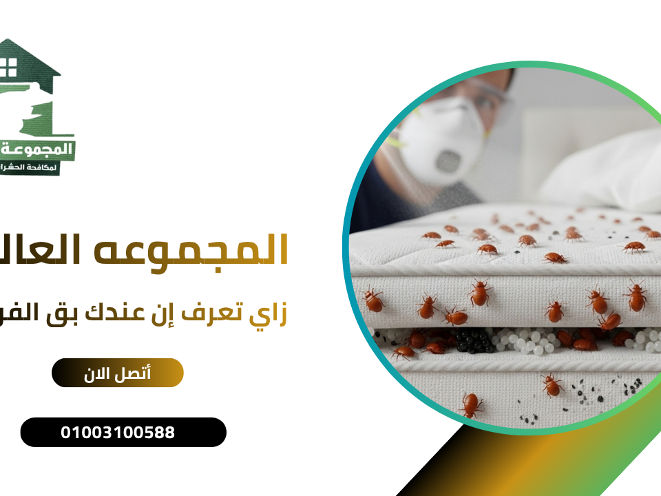 زاي تعرف إن عندك بق الفراش؟