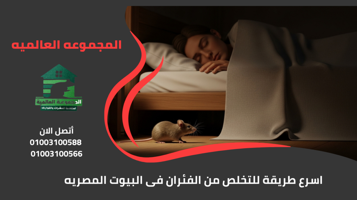 اسرع طريقة للتخلص من الفئران فى البيوت المصريه