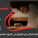 اسرع طريقة للتخلص من الفئران فى البيوت المصريه
