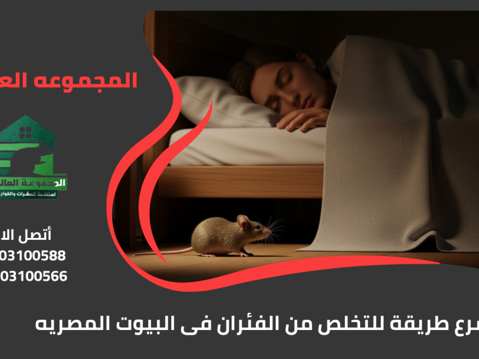 اسرع طريقة للتخلص من الفئران فى البيوت المصريه