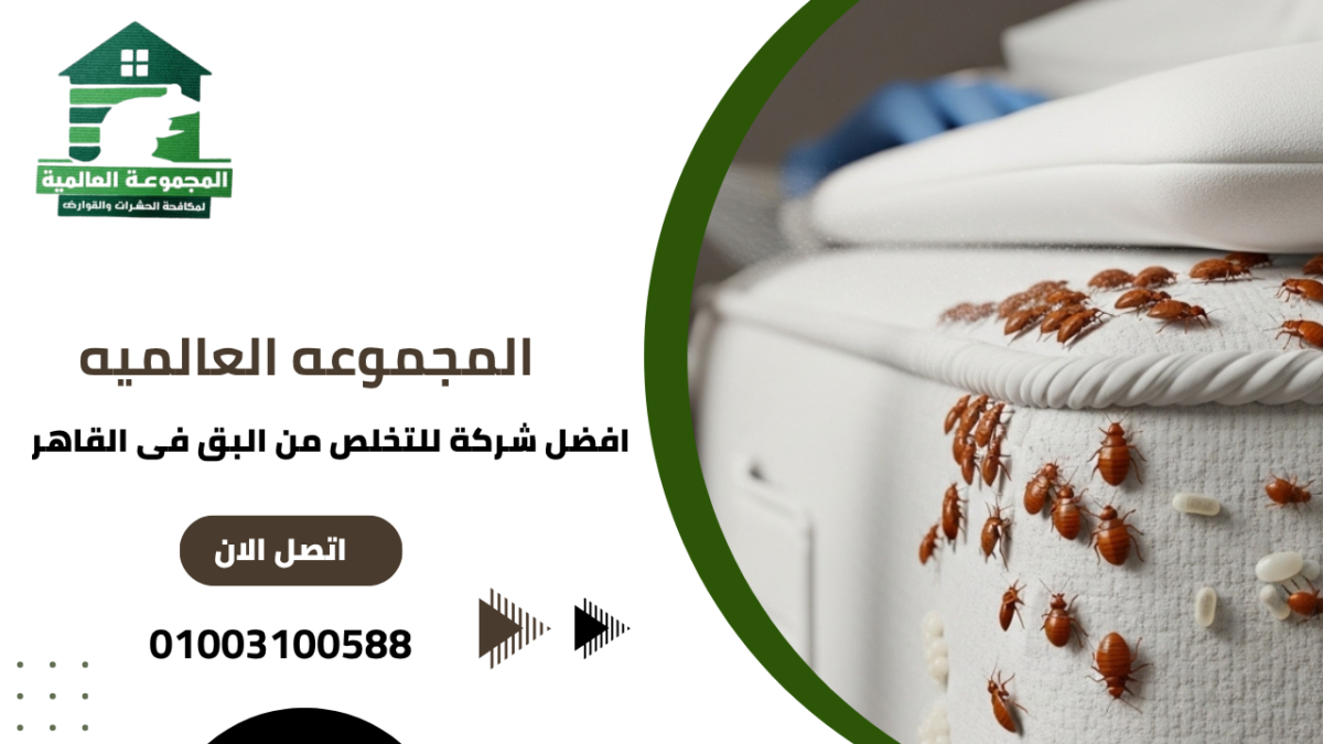 افضل شركة للتخلص من البق فى القاهر