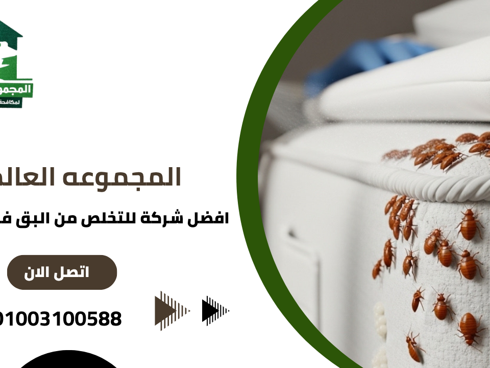 افضل شركة للتخلص من البق فى القاهر