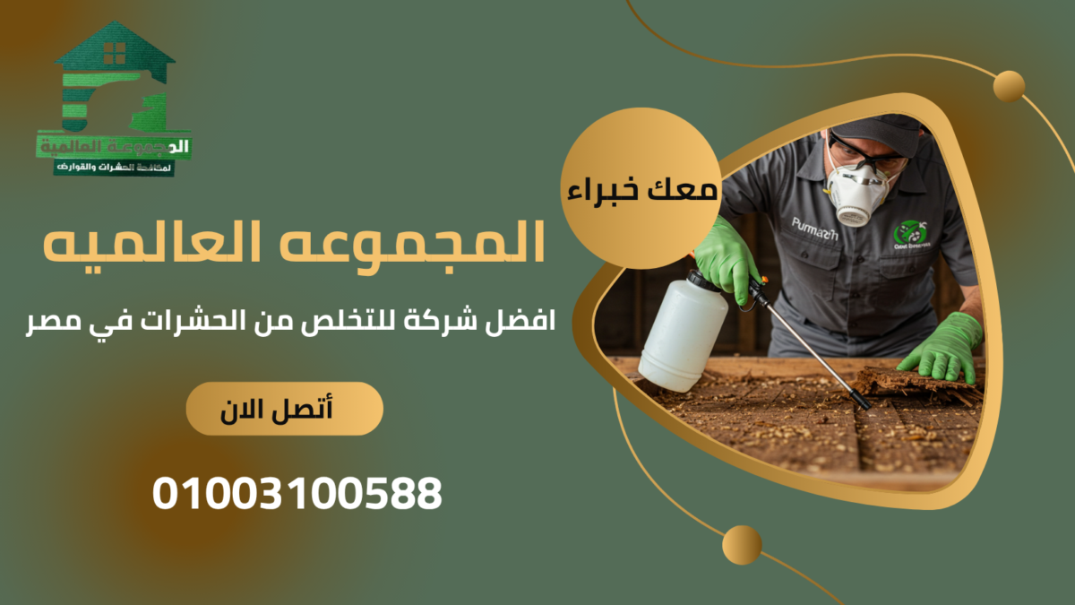 افضل شركة للتخلص من الحشرات في مصر