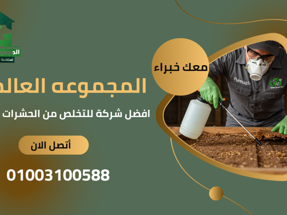افضل شركة للتخلص من الحشرات في مصر