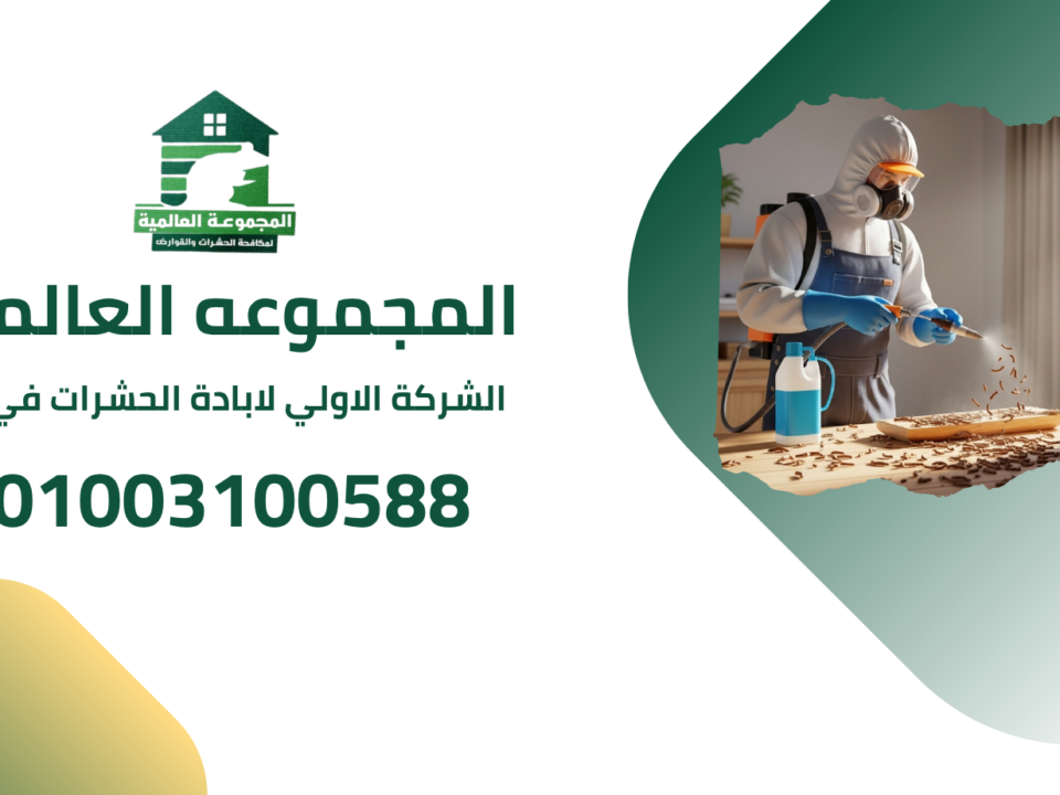 الشركة الاولي لابادة الحشرات في مصر