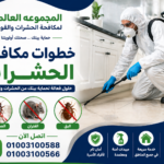 خطوات مكافحة الحشرات