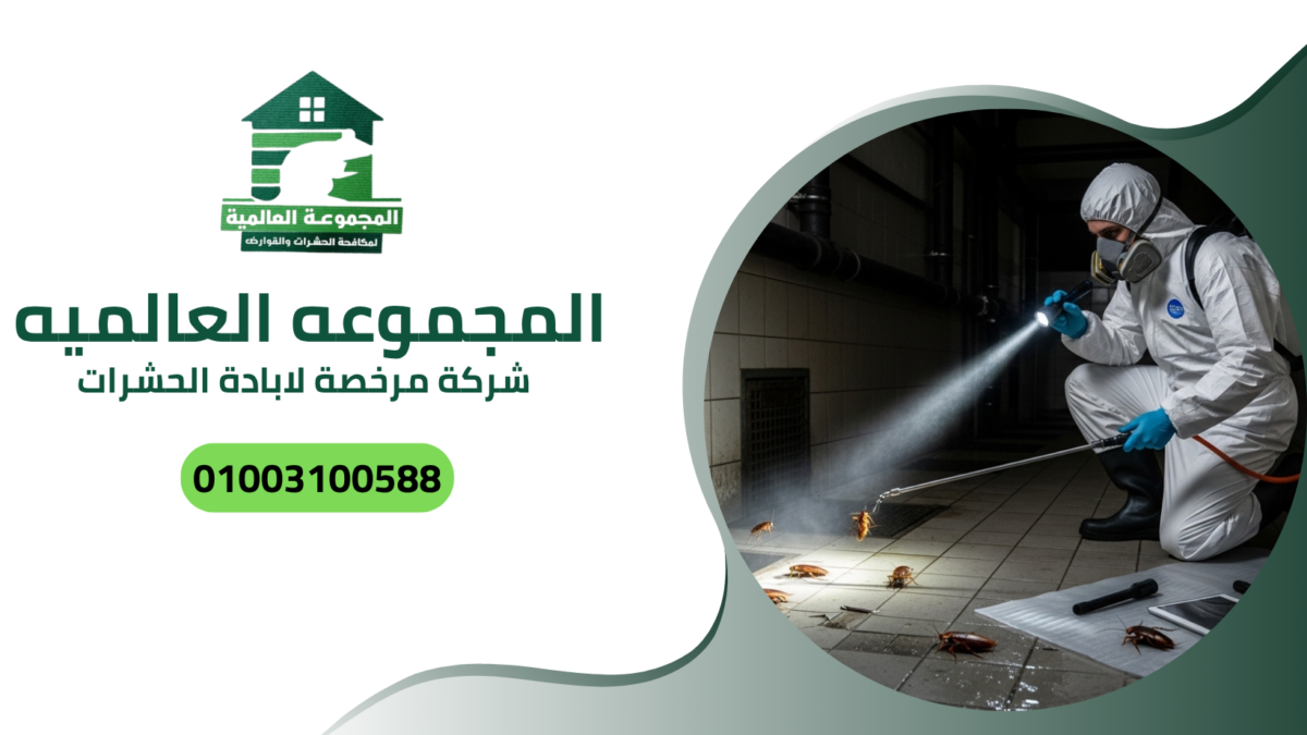 شركة مرخصه لابادة الحشرات