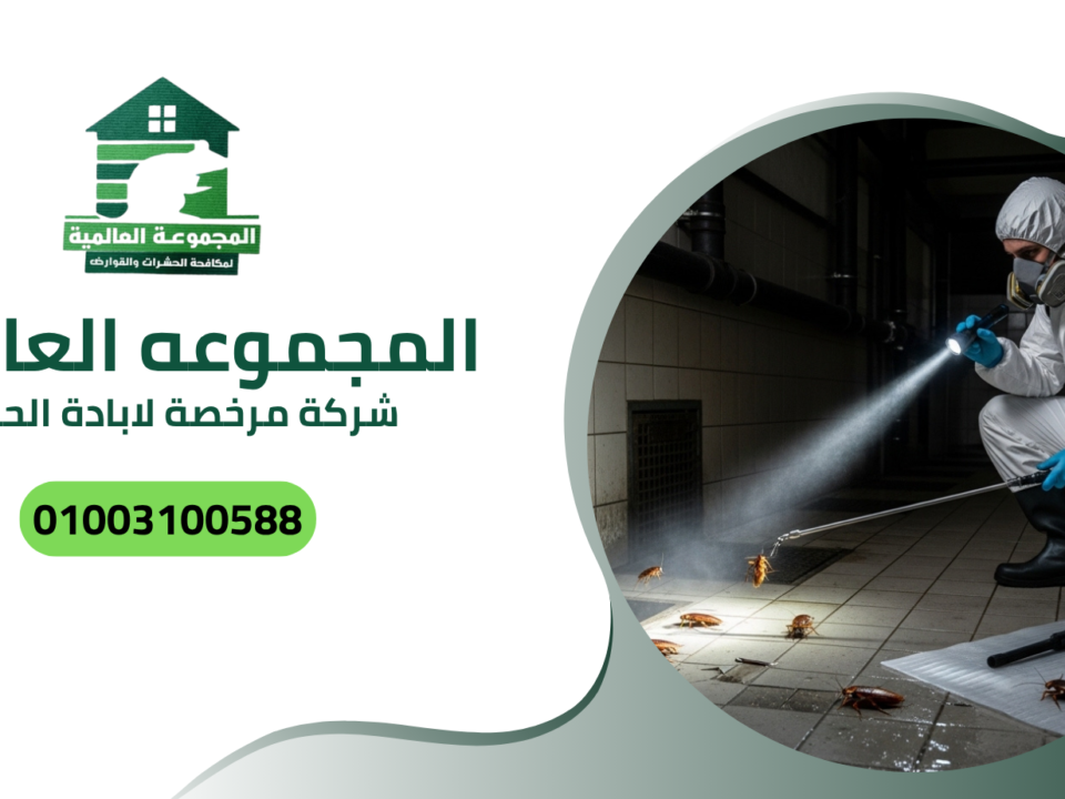 شركة مرخصه لابادة الحشرات