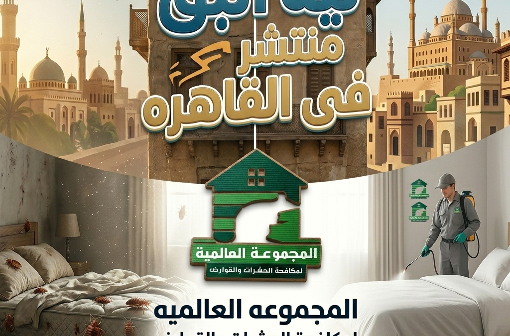 ليه البق منتشر فى القاهره