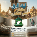 ليه البق منتشر فى القاهره