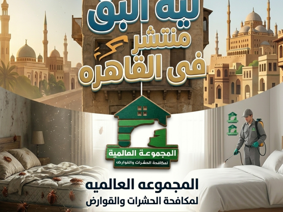 ليه البق منتشر فى القاهره