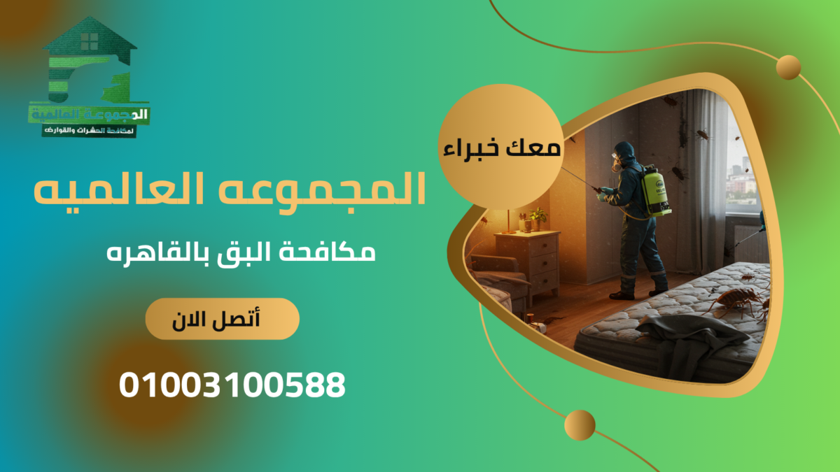 مكافحة البق بالقاهرة