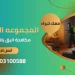 مكافحة البق بالقاهرة