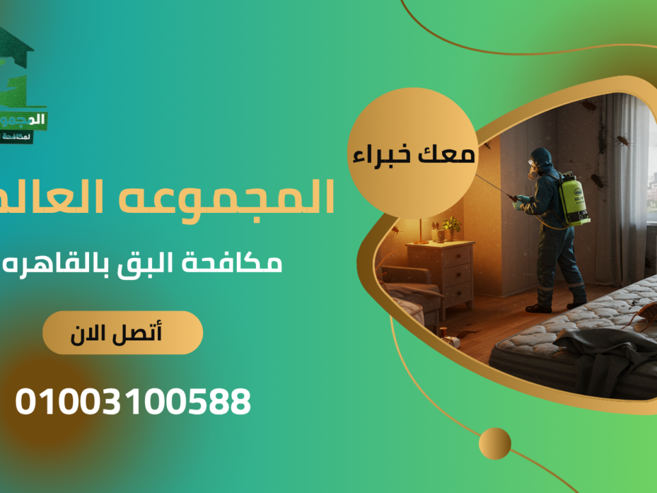 مكافحة البق بالقاهرة