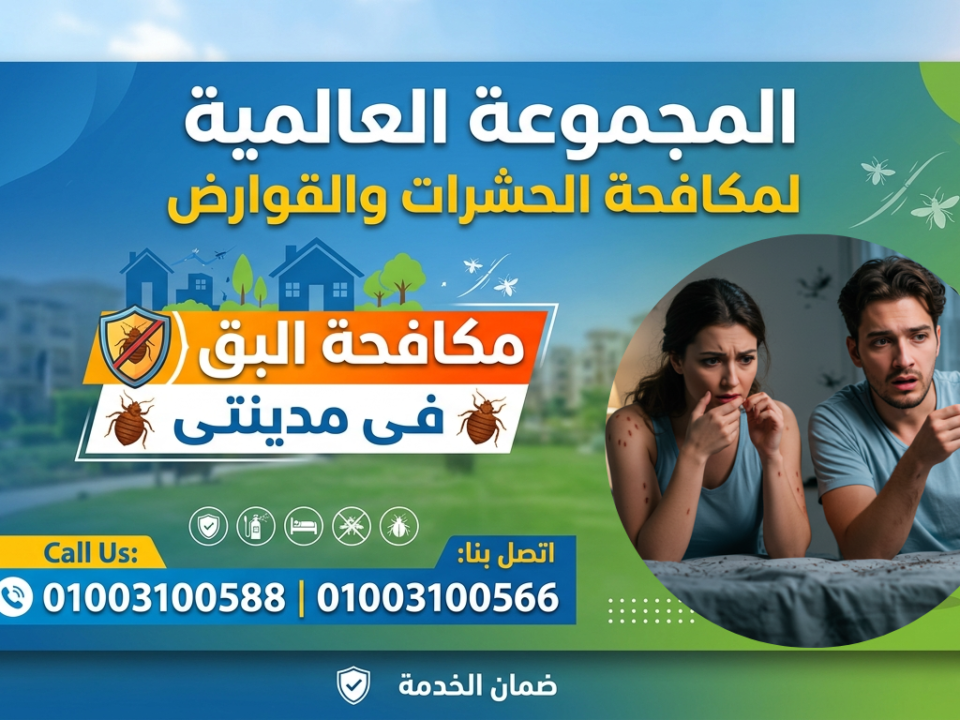 مكافحة البق فى مدينتى