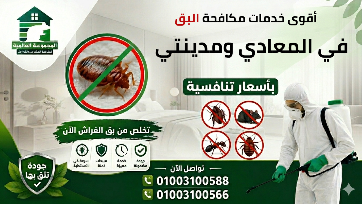 أقوى خدمات مكافحة البق في المعادي ومدينتي بأسعار تنافسية