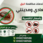 أقوى خدمات مكافحة البق في المعادي ومدينتي بأسعار تنافسية