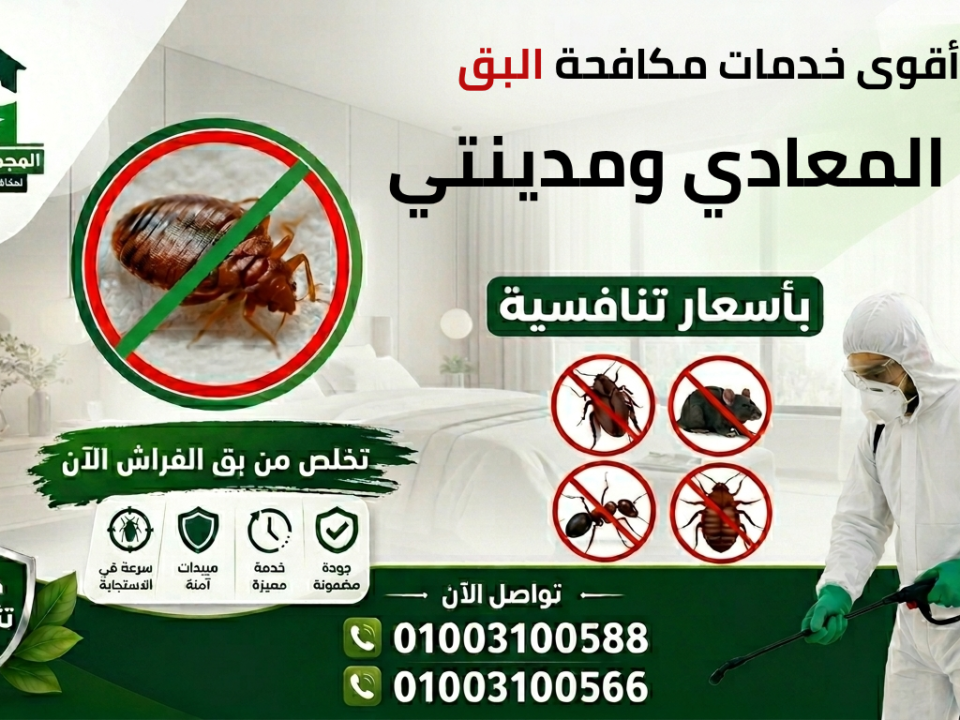 أقوى خدمات مكافحة البق في المعادي ومدينتي بأسعار تنافسية