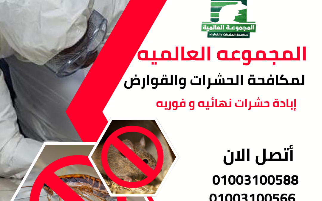 إبادة حشرات نهائيه و فوريه