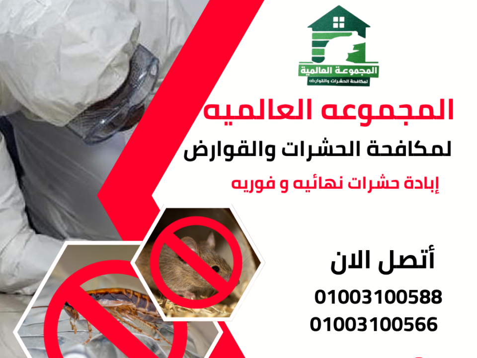 إبادة حشرات نهائيه و فوريه