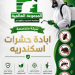 ابادة حشرات اسكندريه