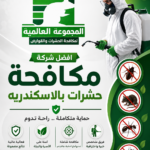 افضل شركة مكافحة حشرات بالاسكندريه