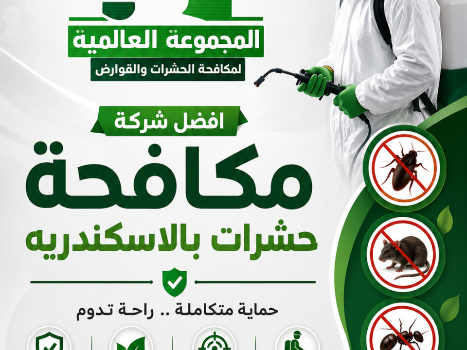 افضل شركة مكافحة حشرات بالاسكندريه