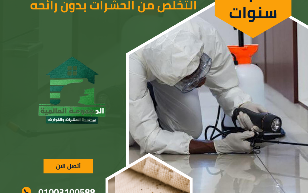 التخلص من الحشرات بدون رائحه