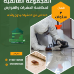التخلص من الحشرات بدون رائحه