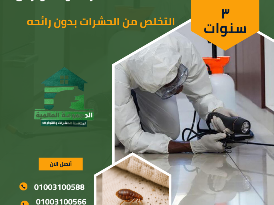 التخلص من الحشرات بدون رائحه