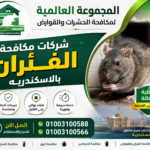 شركات مكافحة الفئران بالاسكندريه