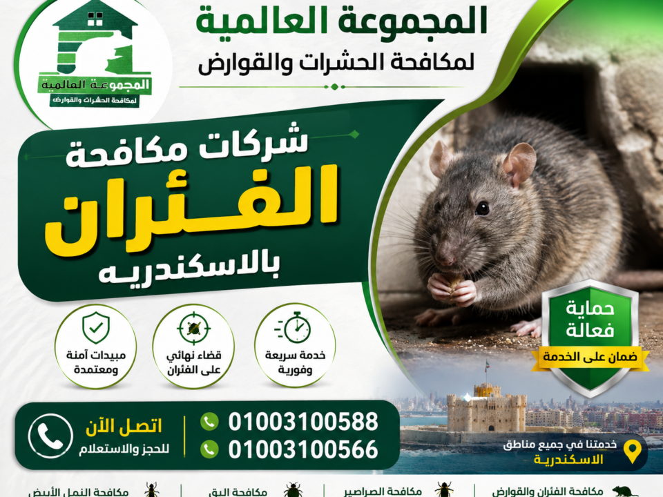 شركات مكافحة الفئران بالاسكندريه