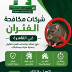 شركات مكافحة الفئران فى القاهرة