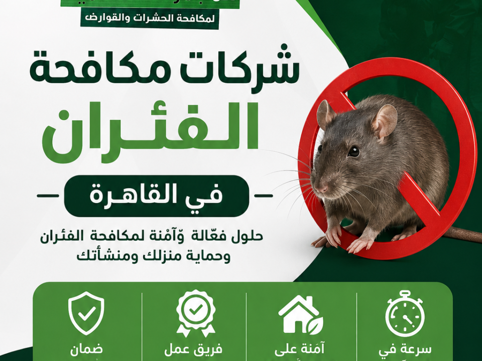شركات مكافحة الفئران فى القاهرة