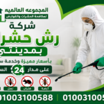 شركة رش حشرات بمدينتي بأسعار مميزة وخدمة سريعة على مدار24 الساعة