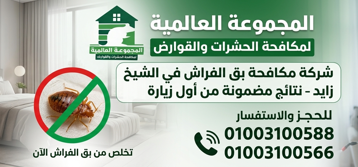 شركة مكافحة بق الفراش في الشيخ زايد – نتائج مضمونة من أول زيارة
