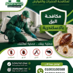 مكافحة البق بالاسكندرية