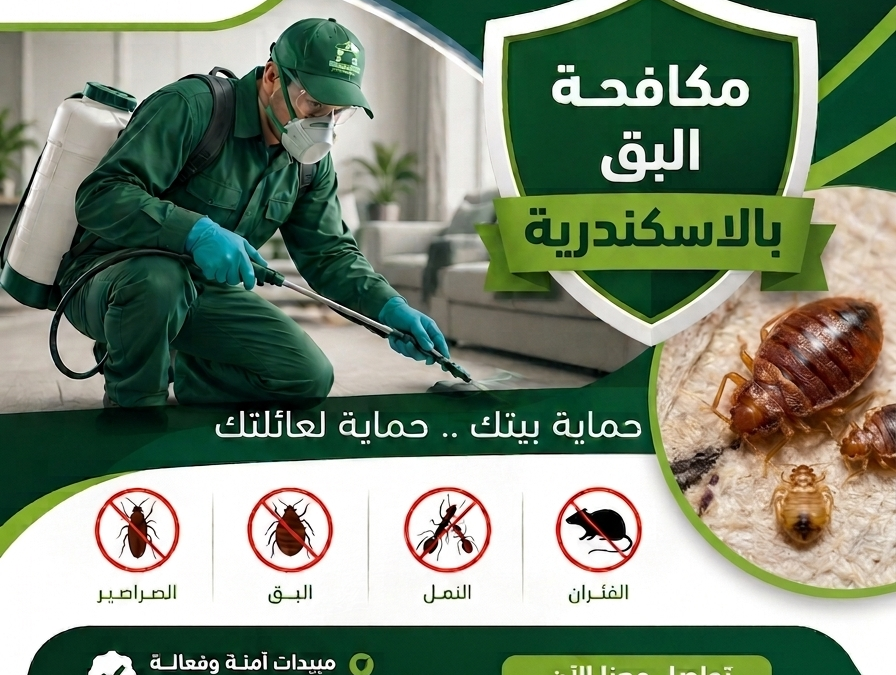 مكافحة البق بالاسكندرية