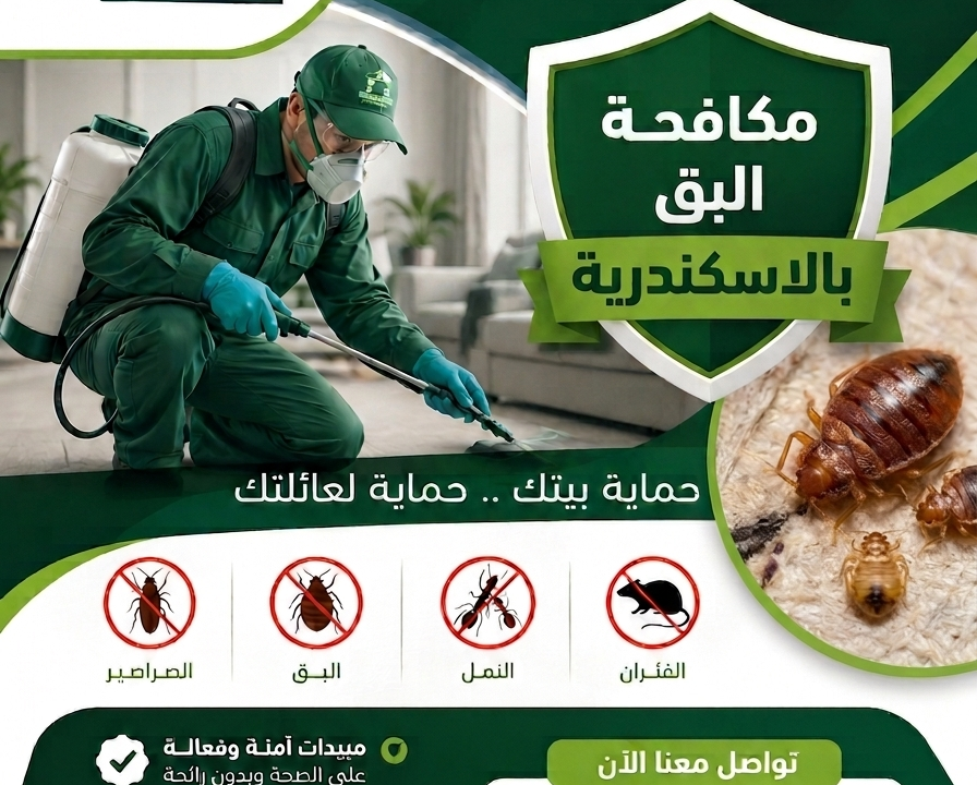 مكافحة البق بالاسكندرية