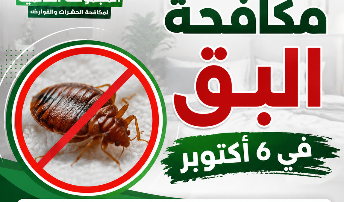 مكافحة البق في 6 أكتوبر